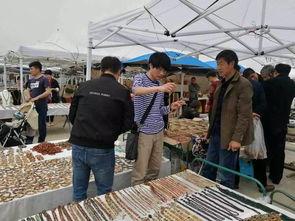 阿拉善展会爆料信息最新,绿色科技盛宴即将启幕  第3张